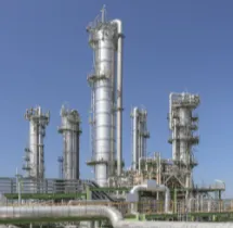 chemical flanges