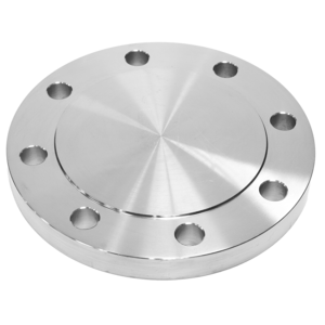 ss flanges